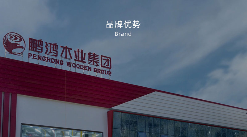 板材品牌、全屋定制品牌、生態(tài)板十大品牌