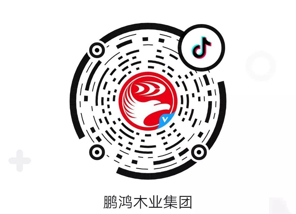 這廂有禮丨這個(gè)春節(jié)我最鴻，抖音相伴幸福年